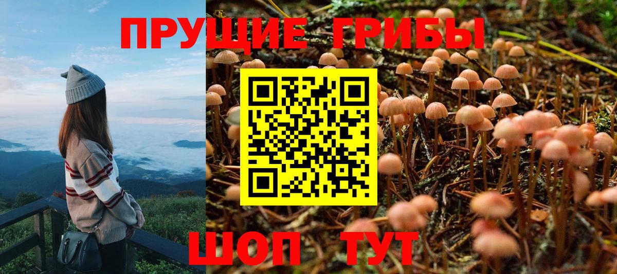 Псилоцибиновые грибы GOLDEN TEACHER  Вход с VPN  Глазов 