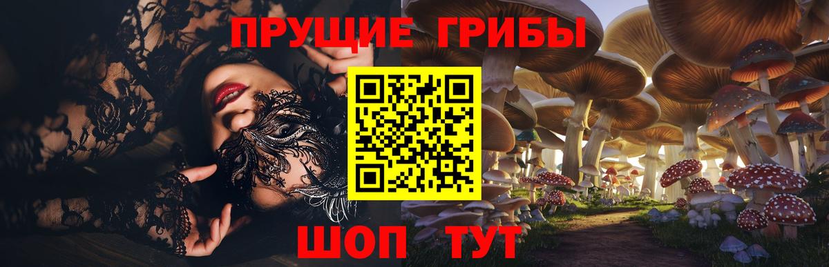 Псилоцибиновые грибы Psilocybine cubensis Глазов